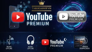 Tài Khoản YouTube Premium giá rẻ các gói từ 1- 36 tháng
