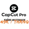 Mua CapCut Pro giá rẻ gói 1 tháng – Tài khoản bản quyền, kích hoạt nhanh, ổn định