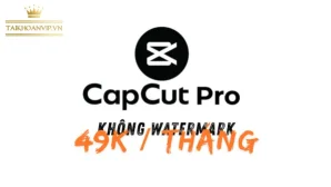 Mua CapCut Pro giá rẻ gói 1 tháng – Tài khoản bản quyền, kích hoạt nhanh, ổn định