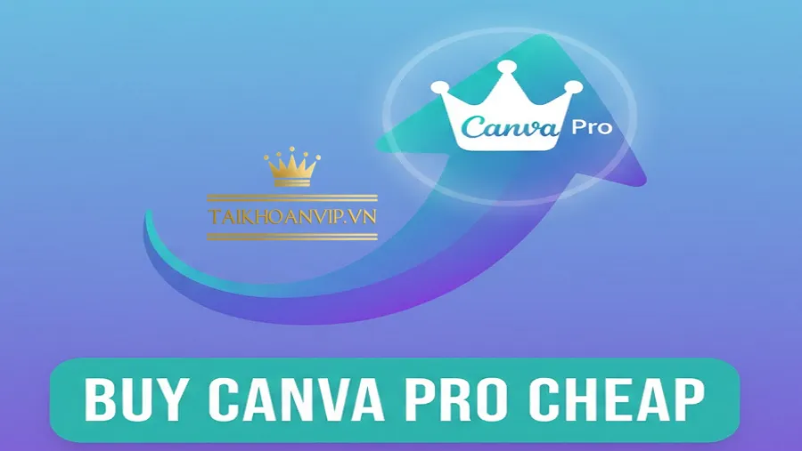 Canva – Thương hiệu toàn cầu, độ tin cậy cao
