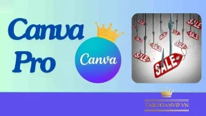 Canva Pro bao nhiêu tiền? So sánh gói tháng, 6 tháng và 1 năm 2025