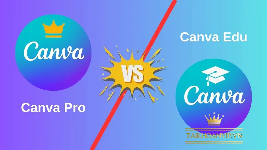 Canva Student là gì?