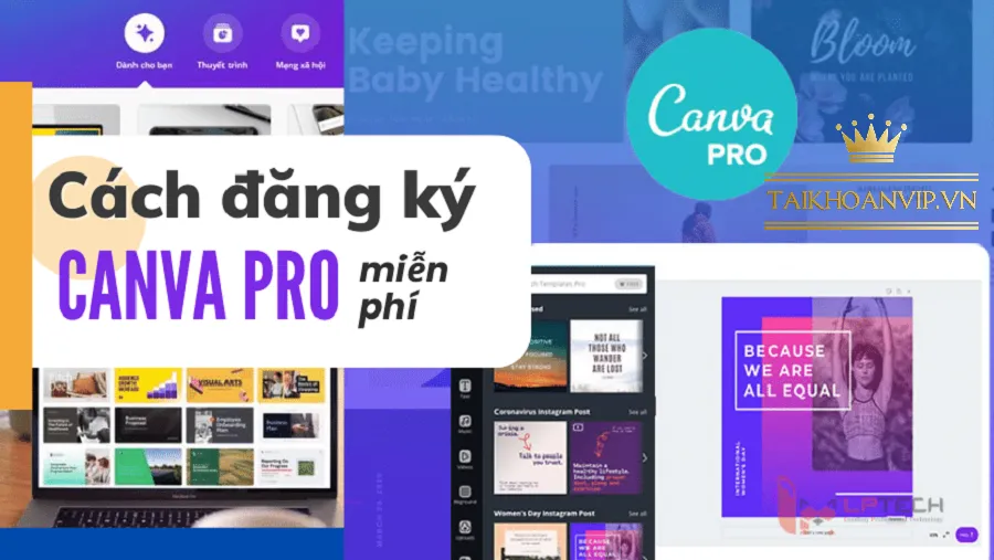 Hướng dẫn đăng ký Canva Pro chính chủ, cách dùng thử Canva Pro Free 30 ngày và mẹo tối ưu khi đăng ký Canva nhanh, an toàn, giá rẻ tại Taikhoanvip.vn.