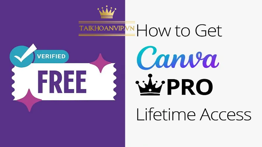 Các tính năng nổi bật trong Canva Pro Free