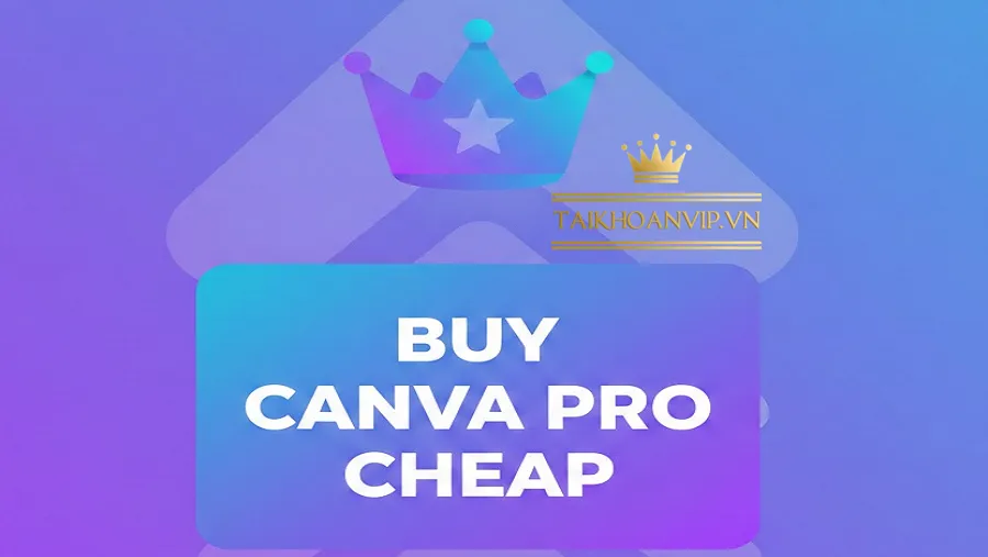 Mua Canva Pro chính chủ tại Taikhoanvip.vn