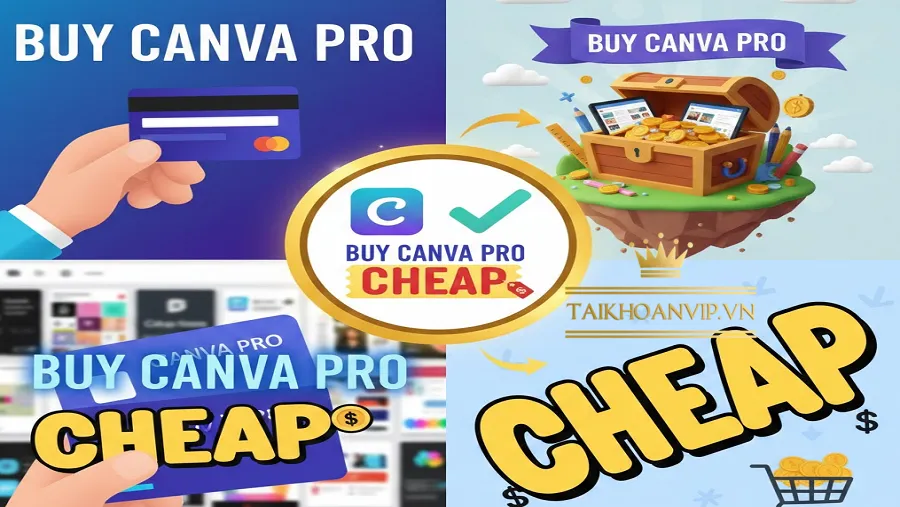 Tại sao Canva Pro trở thành công cụ thiết kế không thể thiếu?
