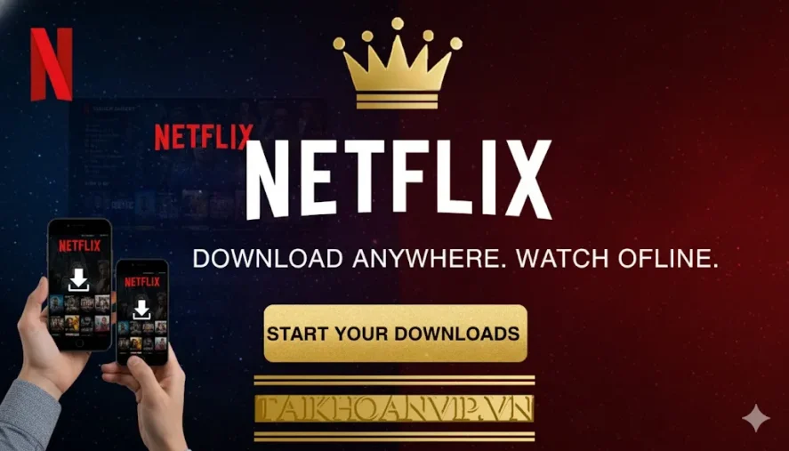 Quy trình mua Netflix tại Taikhoanvip.vn và Download