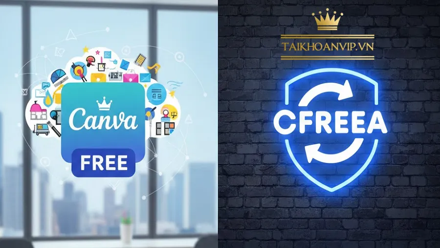 Khi nào bạn nên chuyển từ Canva Mp sang Canva Pro?