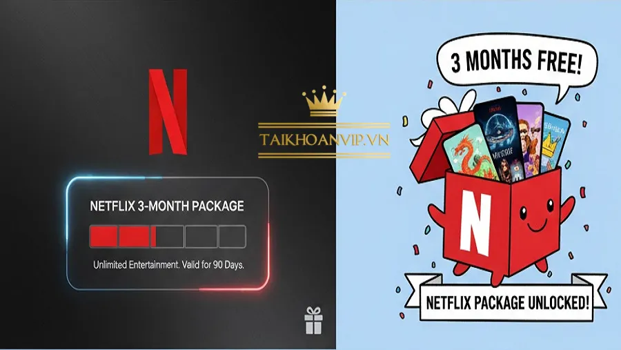 ý do nên chọn gói Netflix Premium thay vì Basic hay Standard