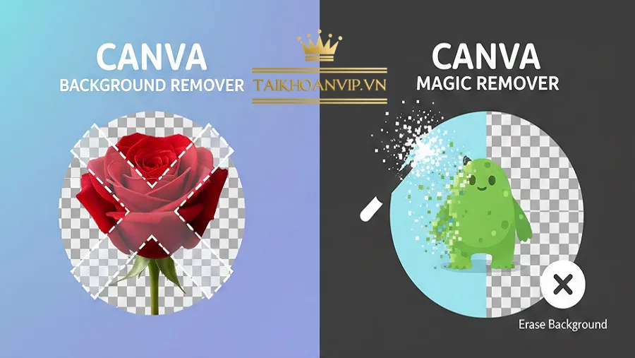 Xóa nền Canva là gì? Công nghệ nào tạo ra kết quả chính xác đến vậy?