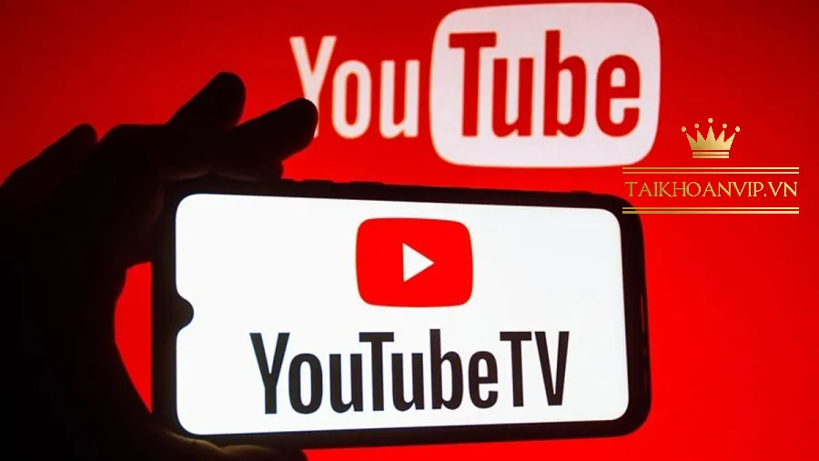 Vì sao nên nâng cấp YouTube Premium thay vì dùng miễn phí?