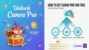 Cách dùng Canva Pro miễn phí an toàn & hiệu quả