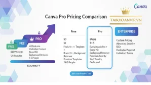Canva Pro Pricing – Hướng dẫn chọn gói Canva Pro phù hợp & tiết kiệm