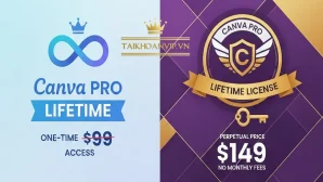 Giá Canva Pro vĩnh viễn
