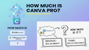 Gói Canva Pro bao nhiêu tiền? Giá rẻ 80–90% & cách chọn gói phù hợp
