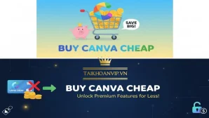 Mua Canva giá rẻ – Full tính năng Canva Pro, giao nhanh tại Taikhoanvip.vn
