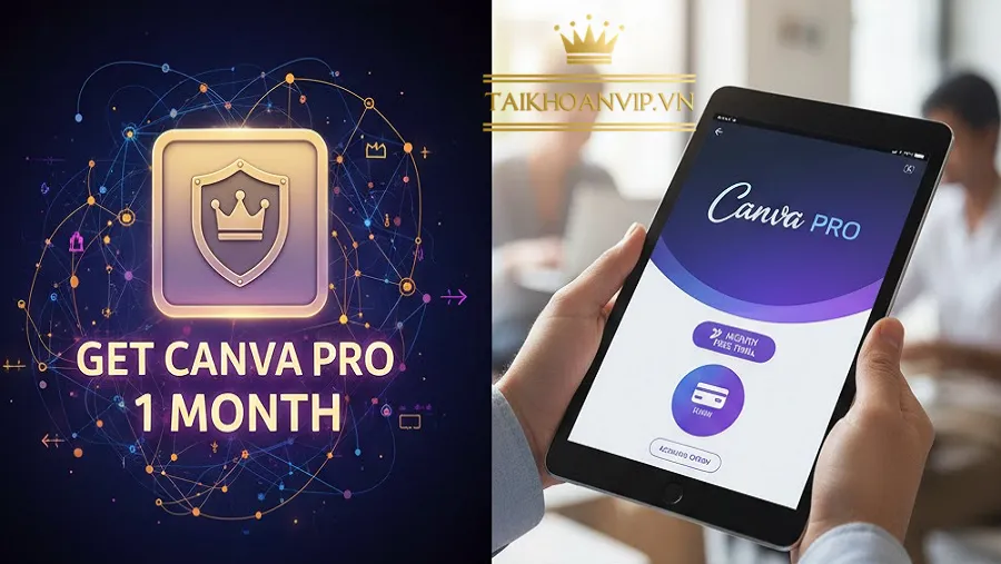 Mua Canva Pro 1 tháng – Full tính năng, giá rẻ, giao nhanh tại Taikhoanvip.vn