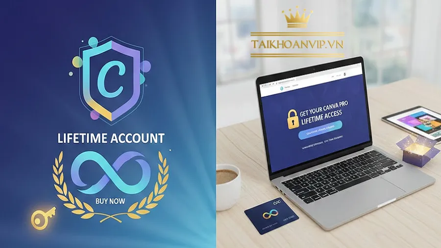 Mua tài khoản Canva Pro vĩnh viễn giá tốt – Hướng dẫn & lưu ý