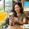Mua Super Duolingo Giá Rẻ Học Không Giới Hạn